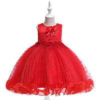 Princess Dress Party Costume Flower Girl Dress Girls