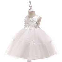 Princess Dress Party Costume Flower Girl Dress Girls