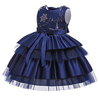 Princess Dress Party Costume Flower Girl Dress Girls