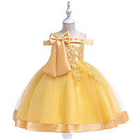 Princess Dress Party Costume Flower Girl Dress Girls
