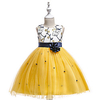 Princess Dress Party Costume Flower Girl Dress Girls