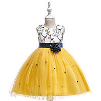 Princess Dress Party Costume Flower Girl Dress Girls