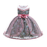 Princess Dress Party Costume Flower Girl Dress Girls