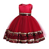 Princess Dress Party Costume Flower Girl Dress Girls