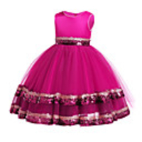 Princess Dress Party Costume Flower Girl Dress Girls