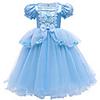 Princess Dress Party Costume Flower Girl Dress Girls