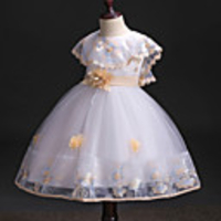 Princess Dress Party Costume Flower Girl Dress Girls