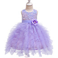 Princess Dress Party Costume Flower Girl Dress Girls