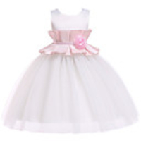 Princess Dress Party Costume Flower Girl Dress Girls