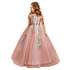 Princess Dress Party Costume Flower Girl Dress Girls
