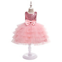 Princess Dress Party Costume Flower Girl Dress Girls