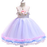 Princess Dress Party Costume Flower Girl Dress Girls