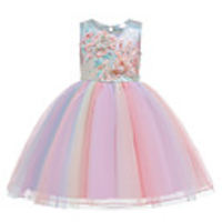 Princess Dress Party Costume Flower Girl Dress Girls