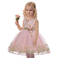 Princess Dress Party Costume Flower Girl Dress Girls