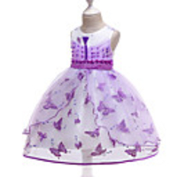 Princess Dress Party Costume Flower Girl Dress Girls