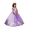 Princess Dress Party Costume Flower Girl Dress Girls