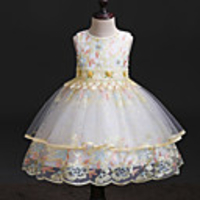 Princess Dress Party Costume Flower Girl Dress Girls