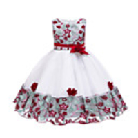 Princess Dress Party Costume Flower Girl Dress Girls