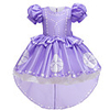 Princess Dress Party Costume Flower Girl Dress Girls