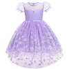 Princess Dress Party Costume Flower Girl Dress Girls