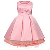 Princess Dress Party Costume Flower Girl Dress Girls