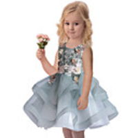 Princess Dress Party Costume Flower Girl Dress Girls