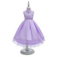Princess Dress Party Costume Flower Girl Dress Girls