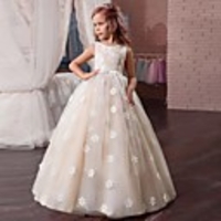 Princess Dress Party Costume Flower Girl Dress Girls