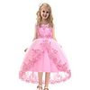 Princess Dress Party Costume Flower Girl Dress Girls