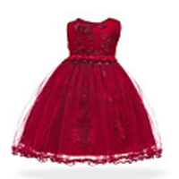 Princess Dress Party Costume Flower Girl Dress Girls