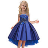 Princess Dress Party Costume Flower Girl Dress Girls
