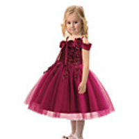 Princess Dress Party Costume Flower Girl Dress Girls