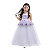 Princess Dress Party Costume Flower Girl Dress Girls