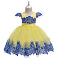 Princess Dress Party Costume Flower Girl Dress Girls