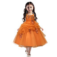 Princess Dress Party Costume Flower Girl Dress Girls