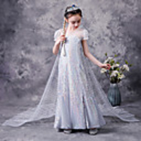Princess Elsa Dress Flower Girl Dress Girls