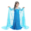 Princess Fairytale Elsa Dress Flower Girl Dress Girls