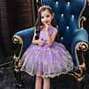 Princess Flapper Dress Dress Party Costume Girls