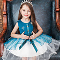 Princess Flapper Dress Dress Party Costume Girls