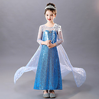 Princess Flapper Dress Dress Party Costume Girls