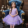 Princess Flapper Dress Dress Party Costume Girls