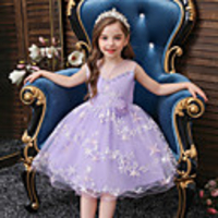 Princess Flapper Dress Dress Party Costume Girls