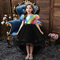 Princess Flapper Dress Dress Party Costume Girls