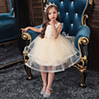 Princess Flapper Dress Dress Party Costume Girls