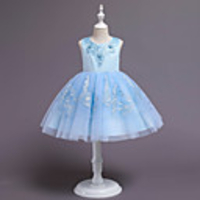 Princess Flapper Dress Dress Party Costume Girls