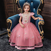 Princess Flapper Dress Dress Party Costume Girls