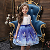 Princess Flapper Dress Dress Party Costume Girls
