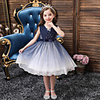 Princess Flapper Dress Dress Party Costume Girls
