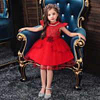 Princess Flapper Dress Dress Party Costume Girls