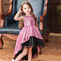 Princess Flapper Dress Dress Party Costume Girls